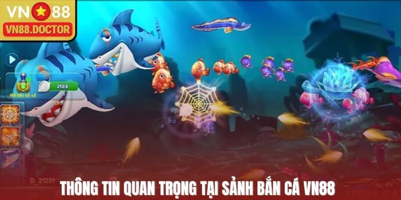 Thông tin quan trọng tại sảnh bắn cá VN88 